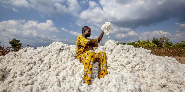 Le Mali relance l'exportation du coton via la Mauritanie