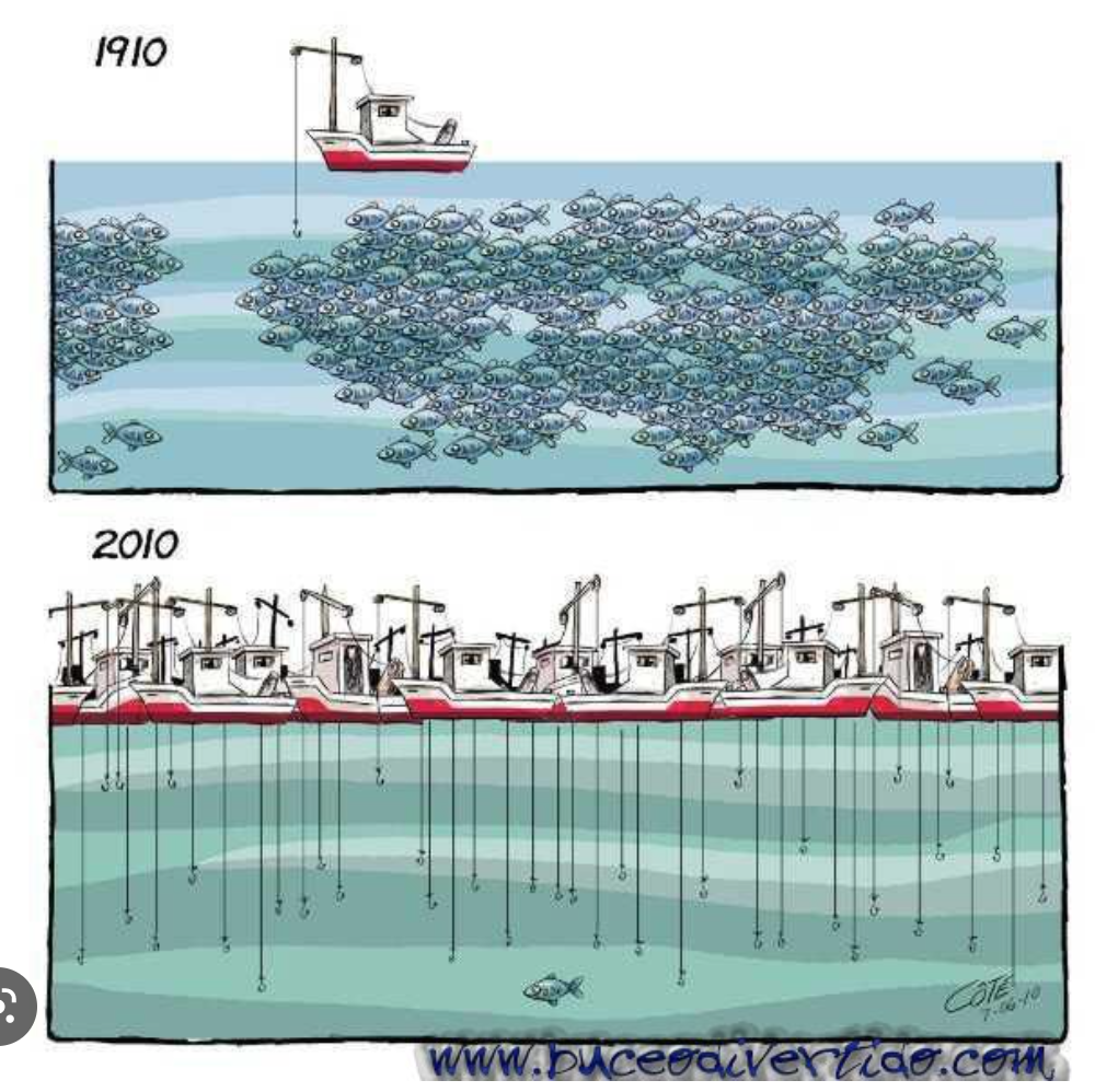 Le ministre des Pêches et de l’Economie maritime s’entretient avec le commissaire européen chargé de la pêche