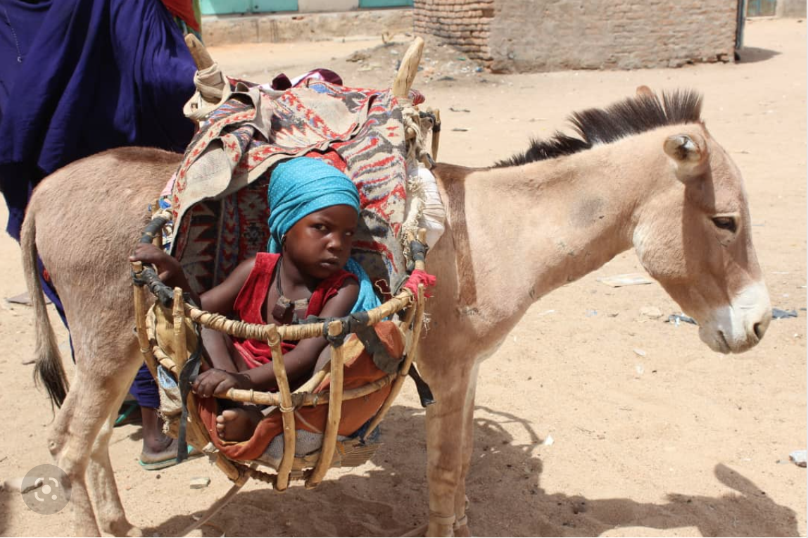 Mauritanie : plus de 45 milliards MRO pour le budget du ministère de l’équipement et les transports