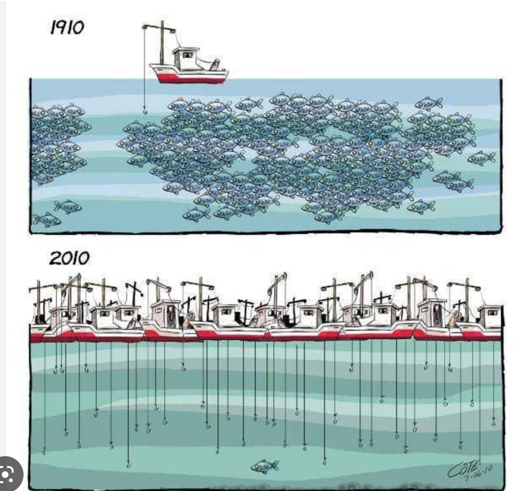 La Mauritanie et le Liberia signent un protocole d’accord relatif à la pêche illégale