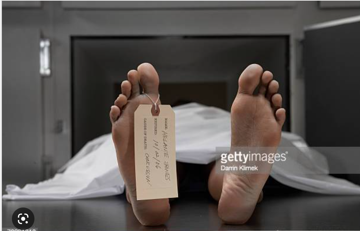 Décès de quatre prospecteurs dans la zone “Gravia” dans le Tiris Zemmour Décès de quatre prospecteurs dans la zone “Gravia” dans le Tiris Zemmour