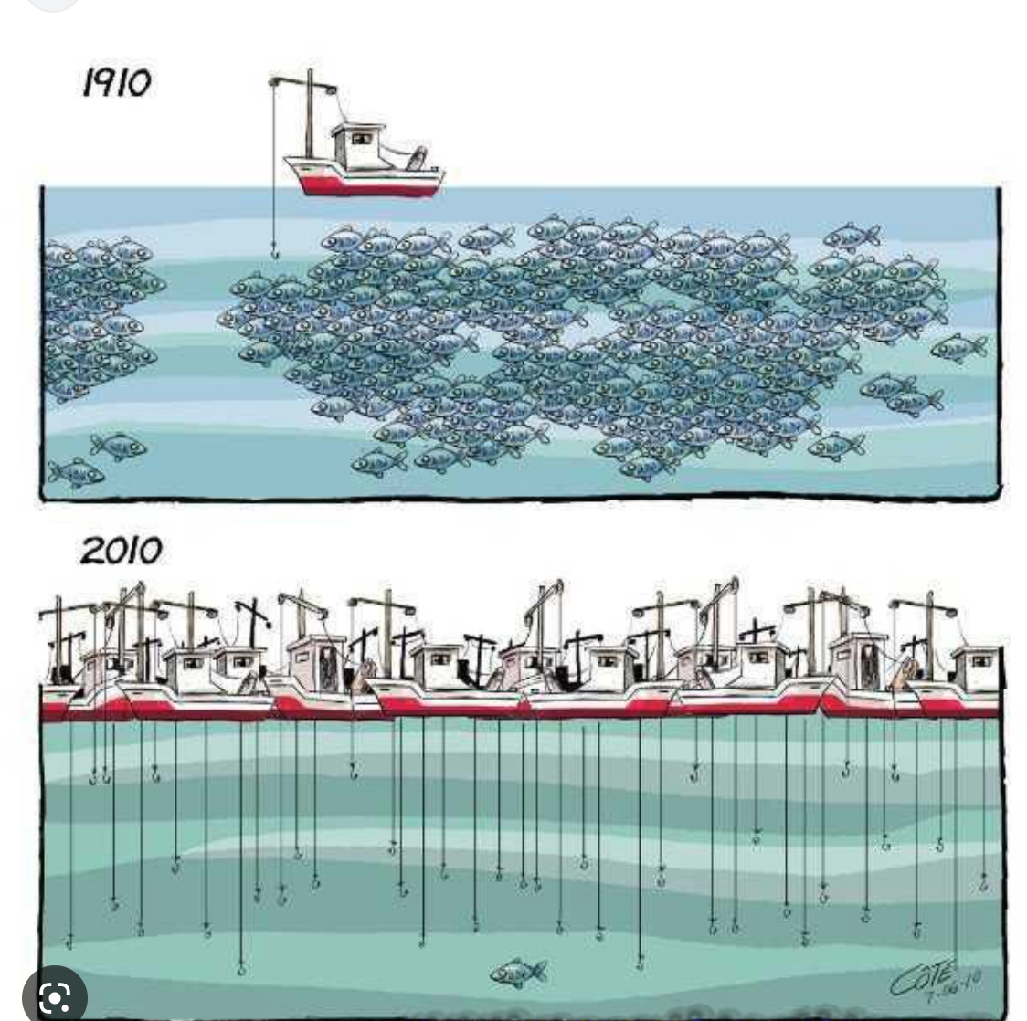 Note de presse : crise dans la filière pélagique Note de presse : crise dans la filière pélagique
