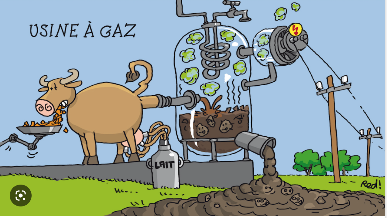2023, l’année du gaz en Mauritanie et au Sénégal