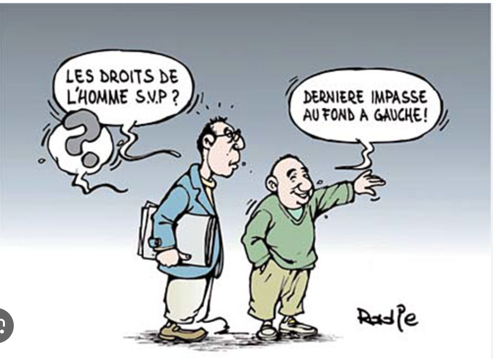 Le commissaire aux droits de l’homme reçoit une délégation d’observateurs africains