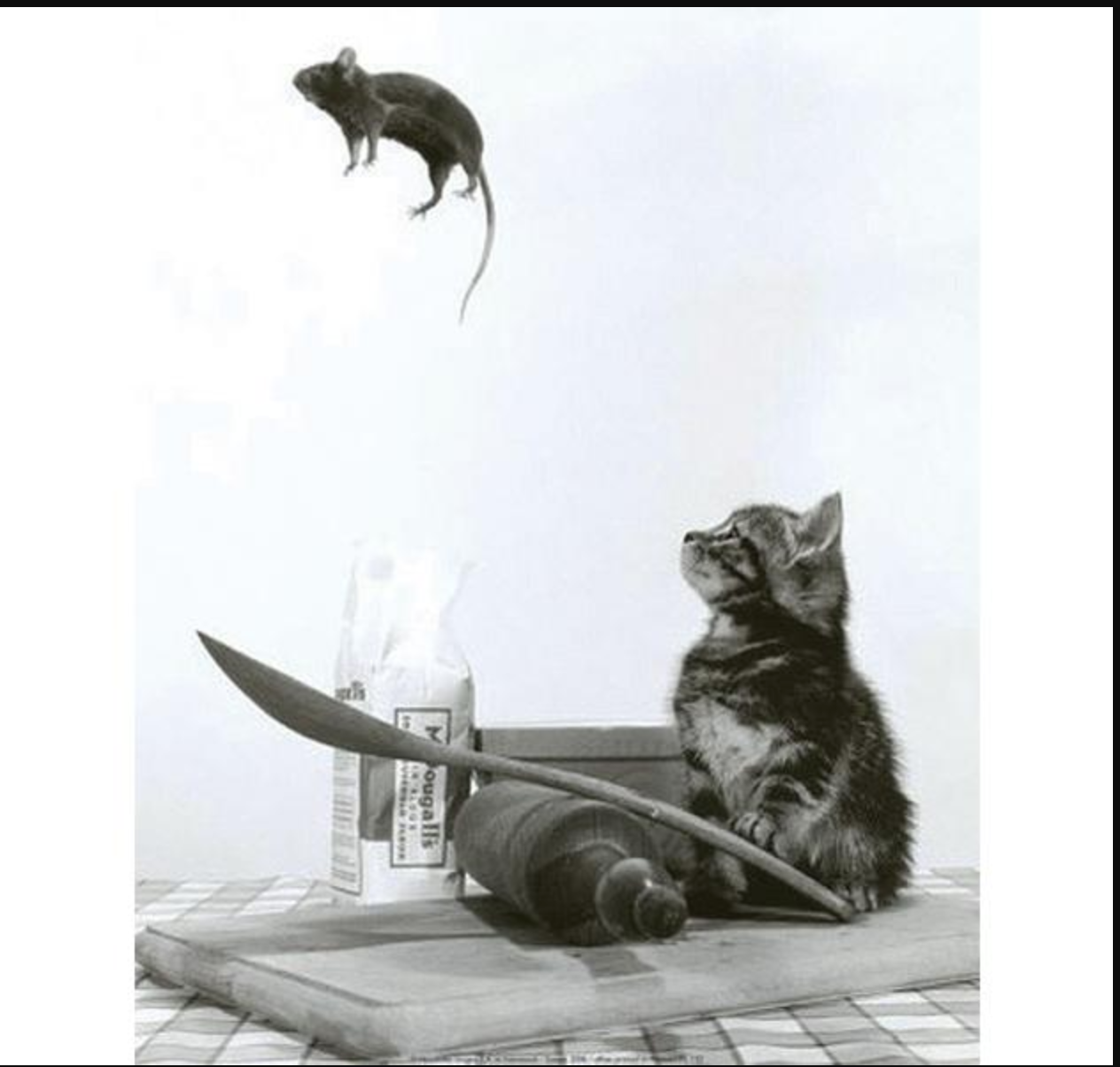 CENI : 35 sièges parlementaires déjà pourvus et un deuxième tour prévu pour 18 circonscriptions CENI : 35 sièges parlementaires déjà pourvus et un deuxième tour prévu pour 18 circonscriptions