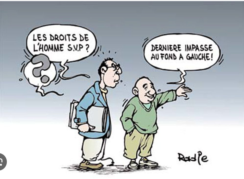 Le Commissaire aux droits de l’homme reçoit la déléguée française aux relations avec la société