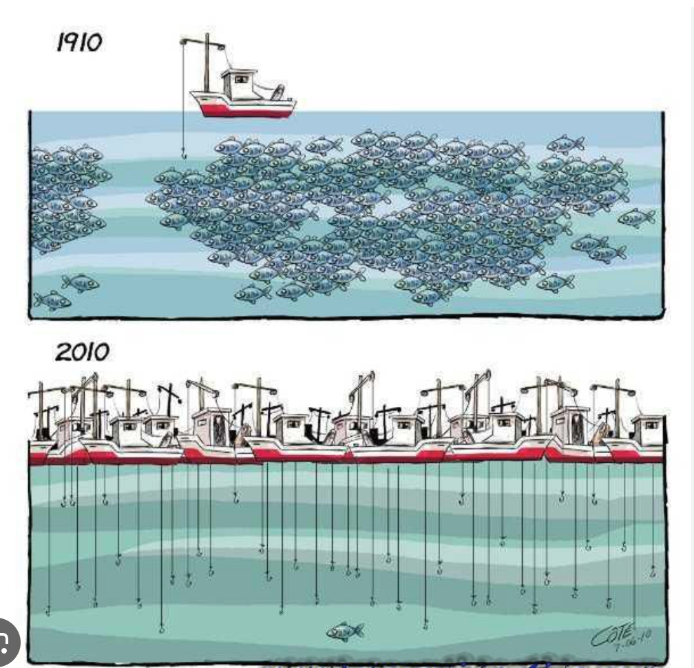 Le ministre des Pêches s’entretient avec le chef de la Mission de l’Union européenne