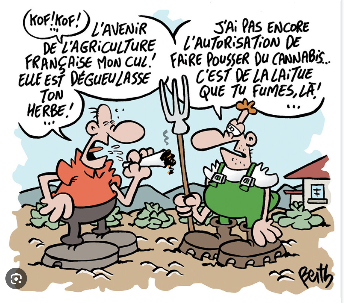 Réunion du comité interministériel chargé du suivi de la lutte contre la drogue et les substances psychotropes Réunion du comité interministériel chargé du suivi de la lutte contre la drogue et les substances psychotropes
