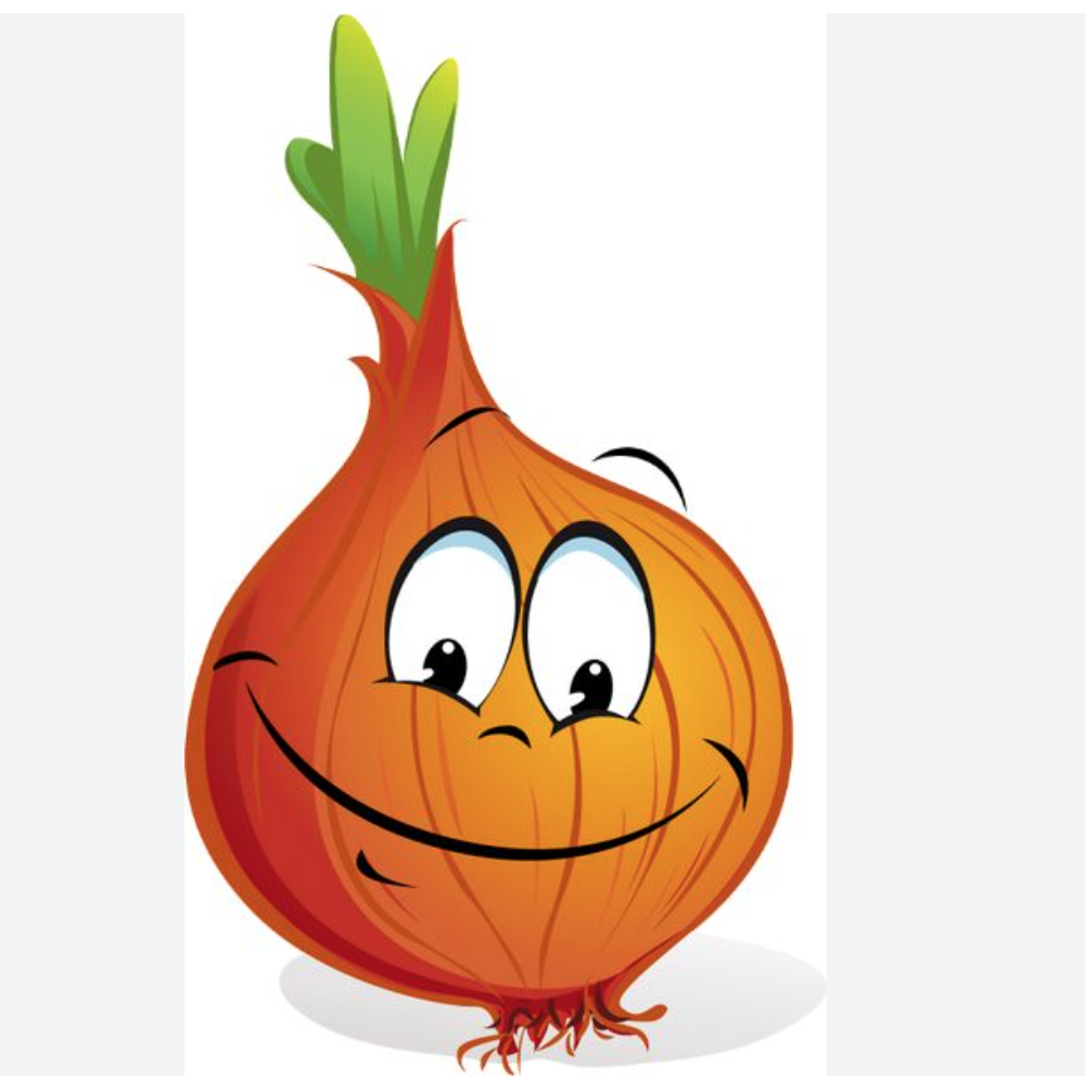 Le président du patronat mauritanien rassure les consommateurs sur l’approvisionnement en oignons Le président du patronat mauritanien rassure les consommateurs sur l’approvisionnement en oignons