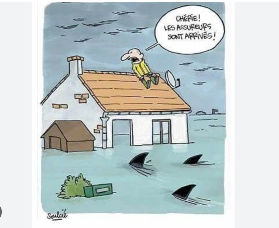 Après la chaleur, la pluie et ses conséquences