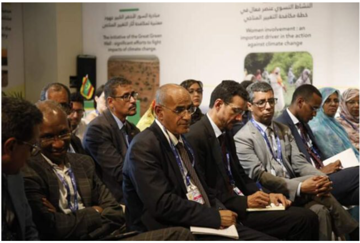 Le ministre du Pétrole participe à une réunion internationale pour approuver les systèmes d’accréditation du commerce de l’hydrogène vert
