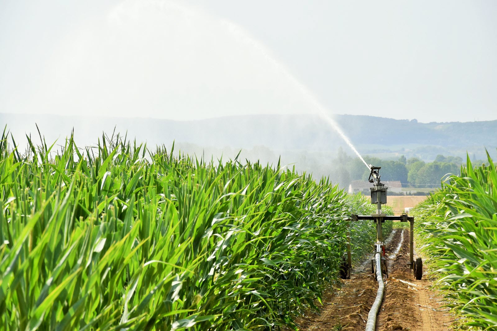 La SONADER se mobilise sur la réhabilitation des périmètres irrigués de