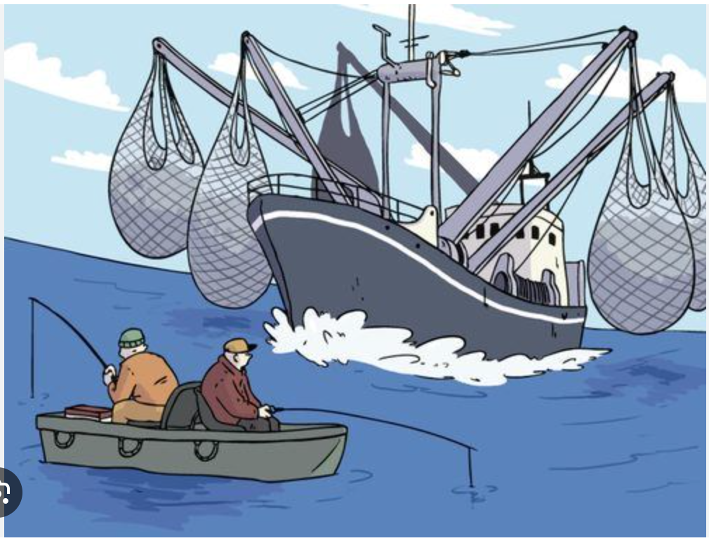 Le ministère des pêches tergiverse dans l’exécution d’instructions du Premier ministère Le ministère des pêches tergiverse dans l’exécution d’instructions du Premier ministère