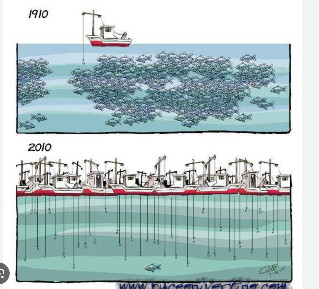 L’Algérie exhume son projet de pêcher en Mauritanie L’Algérie exhume son projet de pêcher en Mauritanie