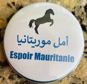 La Coalition « Espoir Mauritanie » dénonce des exactions à R’Kiz