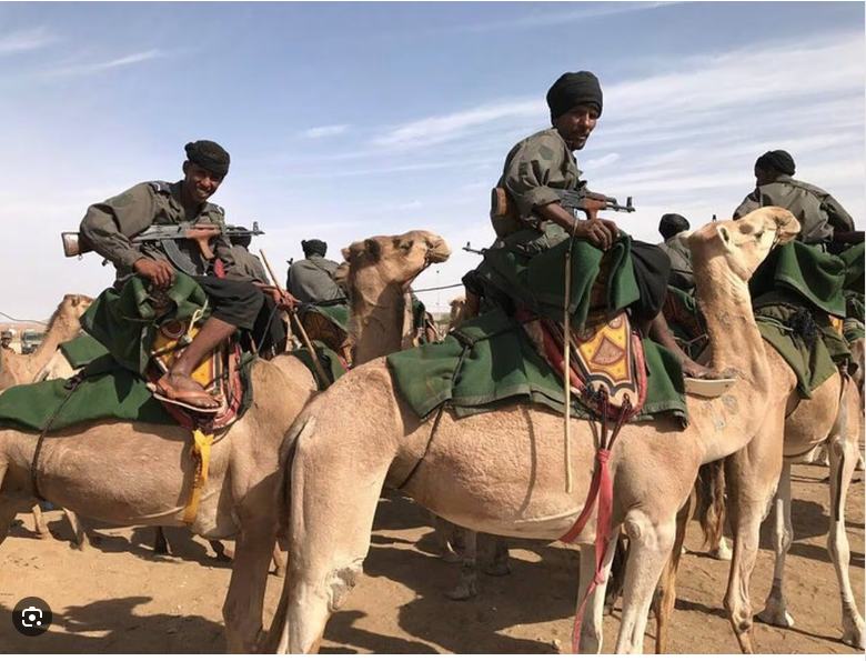 Le porte-parole du gouvernement : la Mauritanie a pris toutes les mesures militaires et sécuritaires pour protéger ses frontières