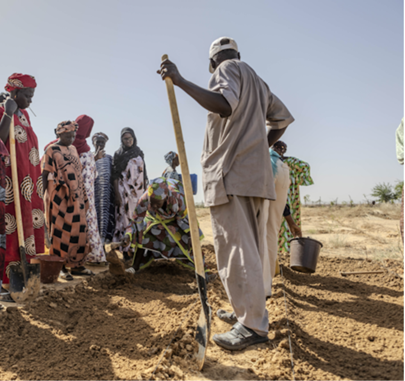 Souveraineté alimentaire en Mauritanie : Défis et perspectives selon l’approche AMAD et CERAI