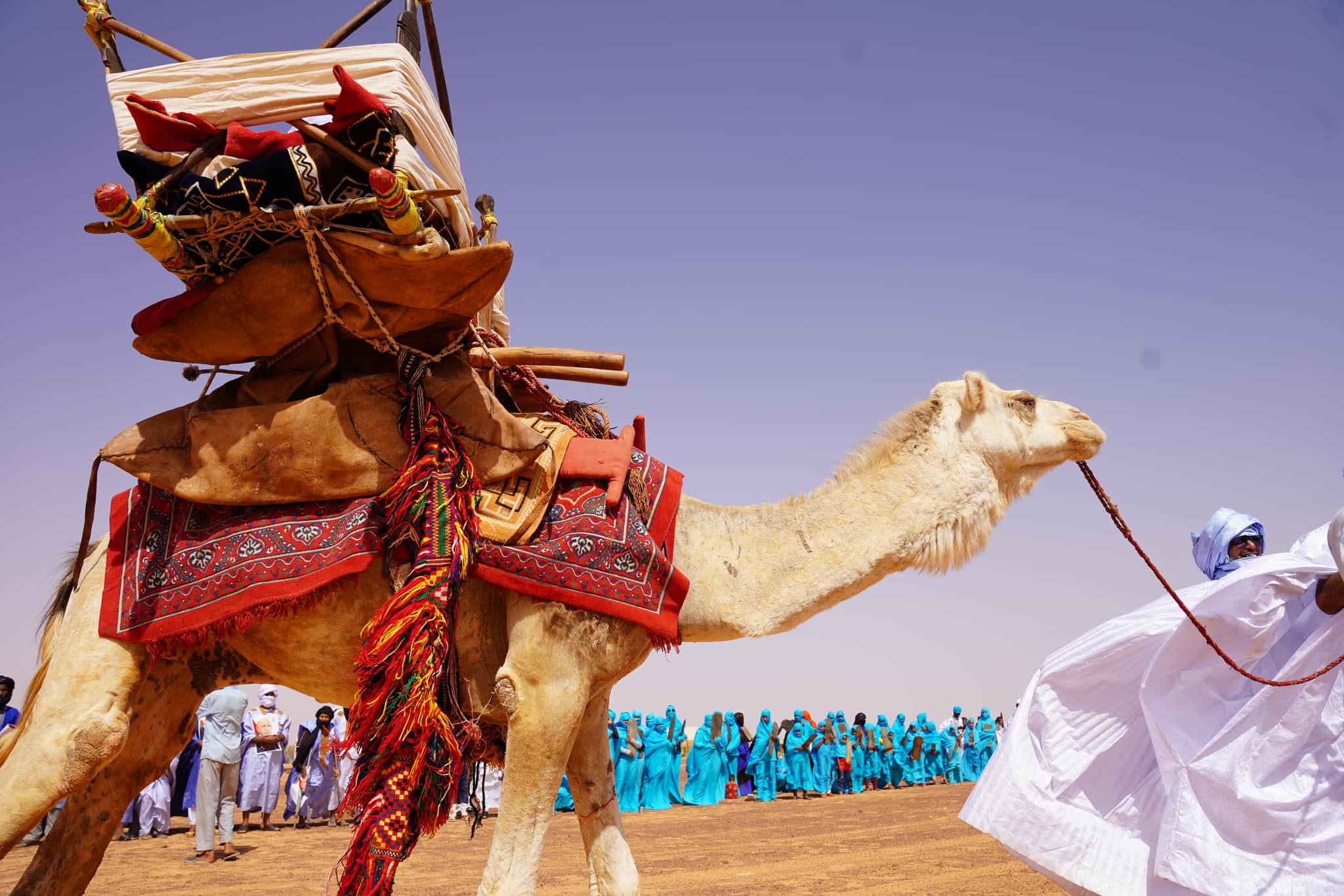 Belles photos en Adrar : tout ce qu'il y a de beau a été sorti pour accueillir Taazour dans le village de Ouraidh 