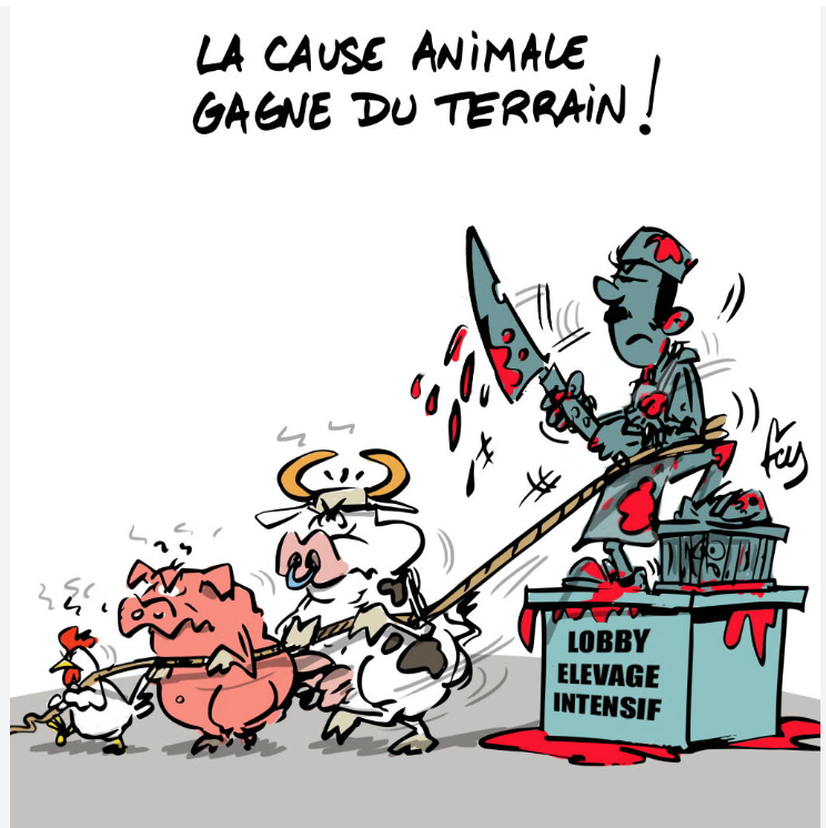 Le ministre de l’Élevage participe à la 91ème Session Plénière des Délégués de l’OMSA Le ministre de l’Élevage participe à la 91ème Session Plénière des Délégués de l’OMSA