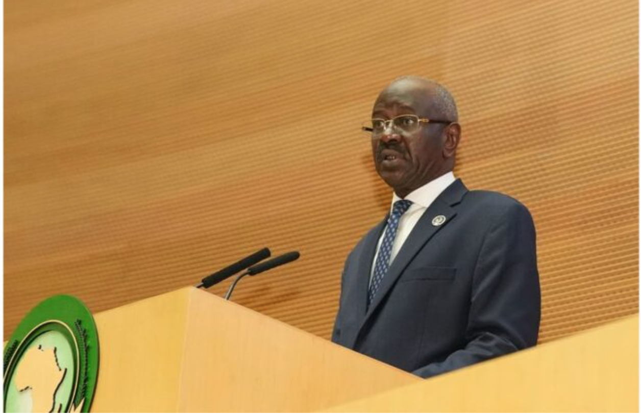 Le ministre des Affaires étrangères préside la réunion de la 46e session du Conseil exécutif de l’Union africaine Le ministre des Affaires étrangères préside la réunion de la 46e session du Conseil exécutif de l’Union africaine