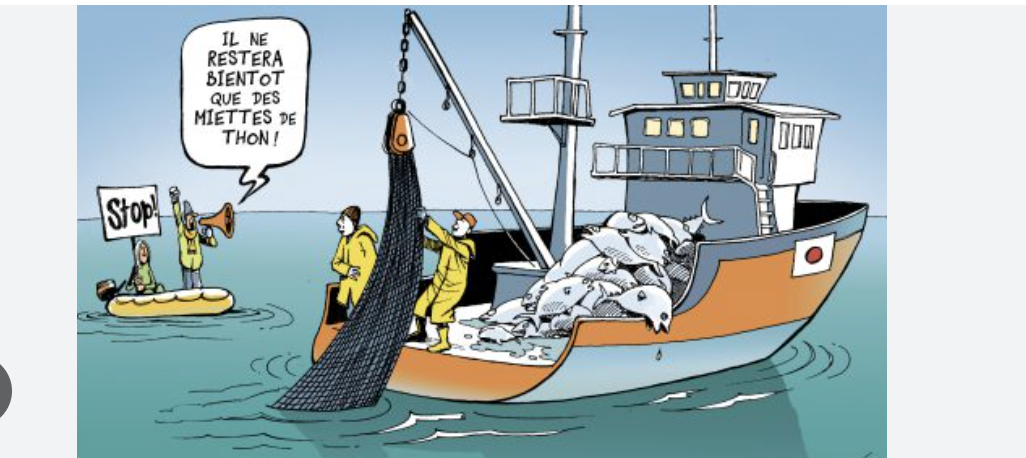 Ministre des Pêches : Nous travaillons à l’élaboration d’une stratégie de transport maritime et d’un plan directeur pour les infrastructures maritimes et portuaires Ministre des Pêches : Nous travaillons à l’élaboration d’une stratégie de transport maritime et d’un plan directeur pour les infrastructures maritimes et portuaires