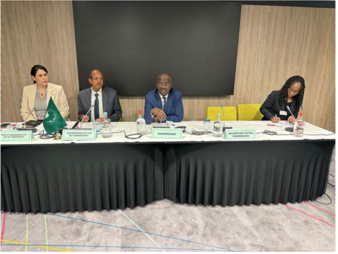 Le ministre des Affaires étrangères préside la réunion de coordination du Conseil exécutif de l’UA et du président de la Commission de l’UA