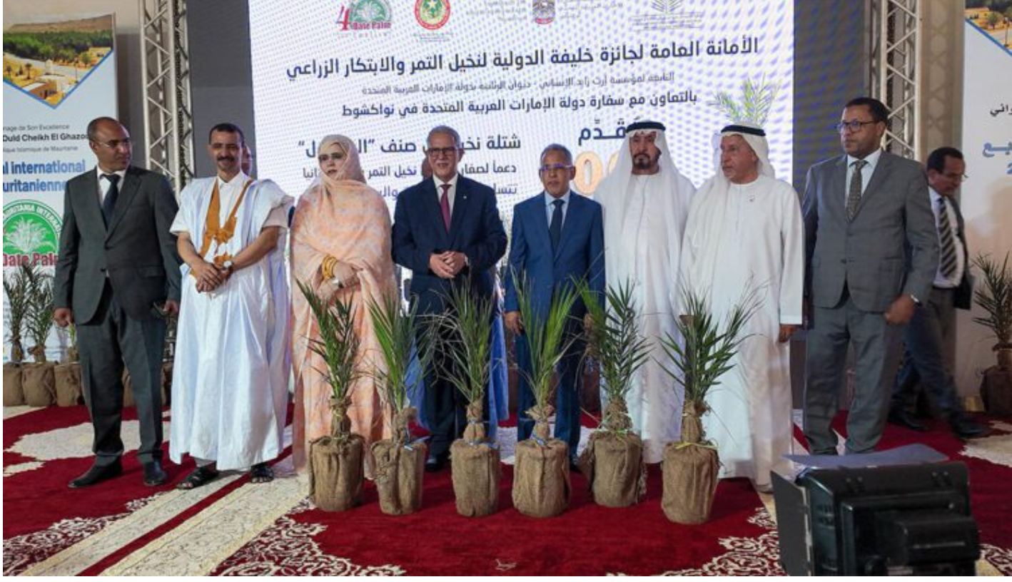 Kiffa : Lancement de la quatrième édition du Festival international des dattes mauritaniennes