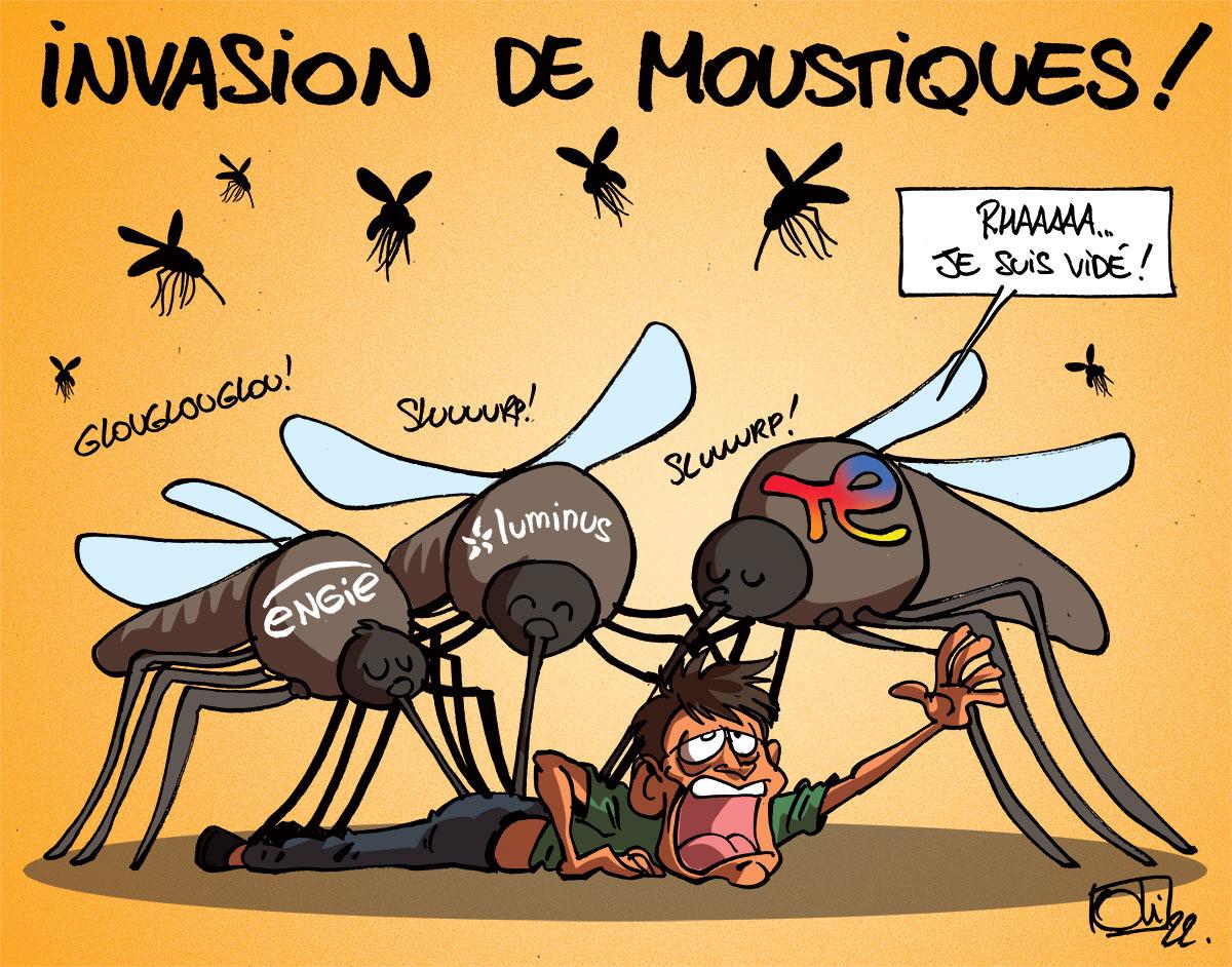 La Région de Nouakchott lance une campagne de démoustication et invite les citoyens à y participer