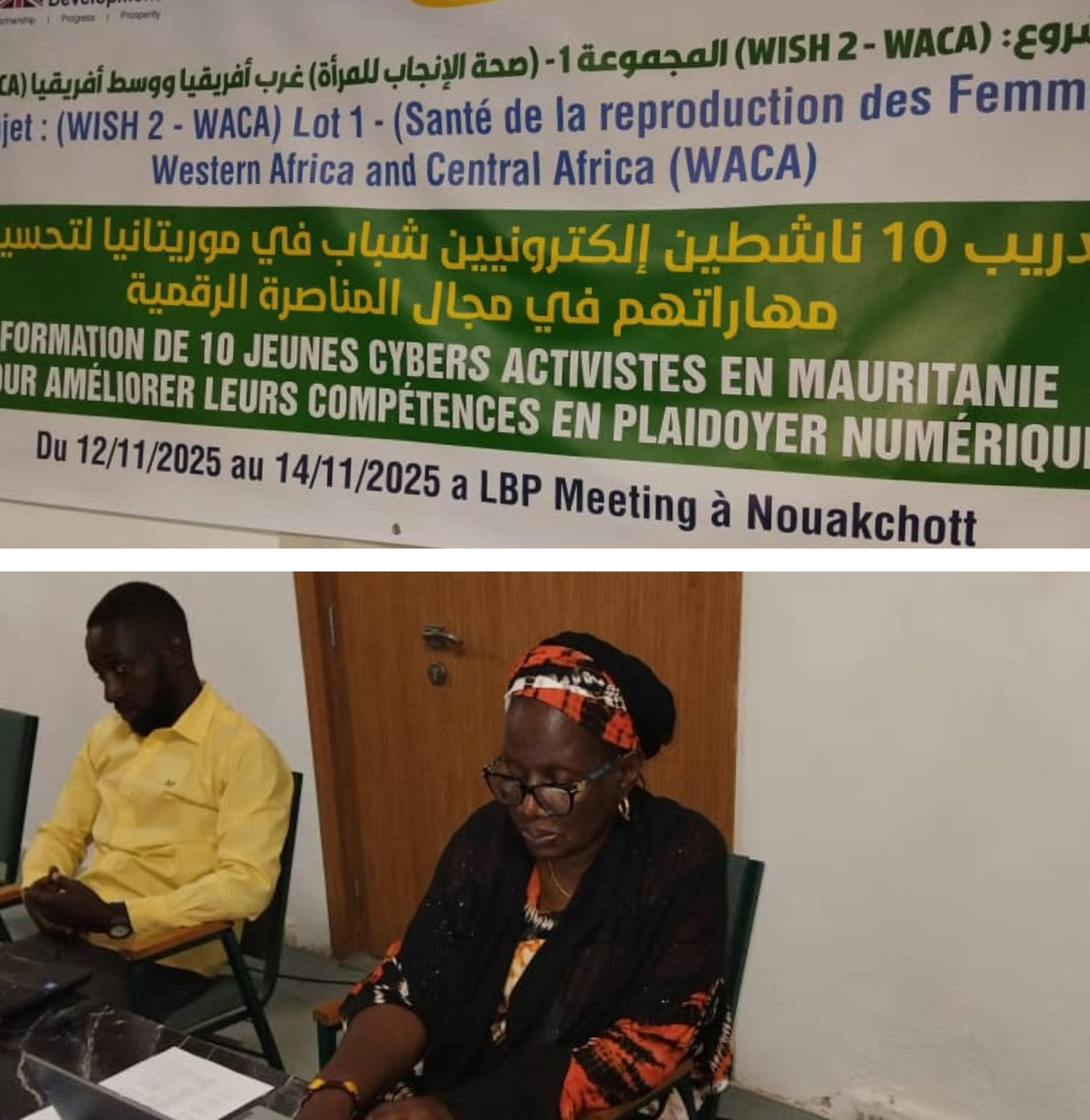 Plaidoyer numérique pour promouvoir les droits humains et la santé reproductive: Dix jeunes cybersactivistes formés