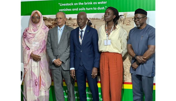 Le ministre des domaines, du patrimoine de l’Etat et de la réforme foncière rencontre le directeur du Centre régional de services pour l’Afrique