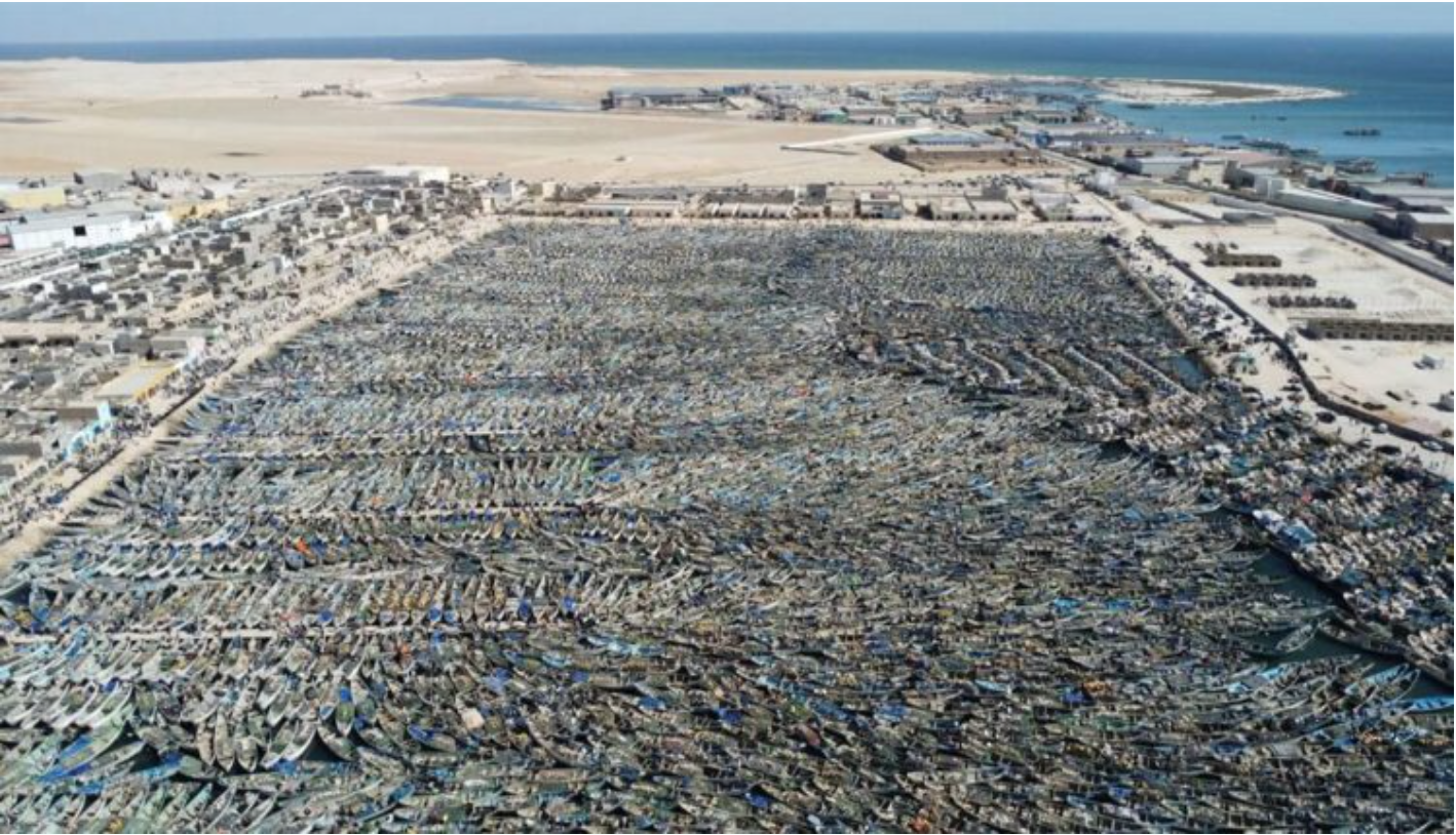 Reprise des activités de pêche artisanale à Nouadhibou