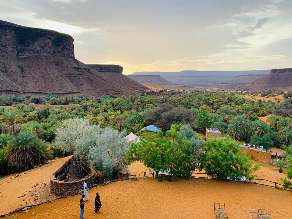 Agriculture d’hiver en Adrar : une production diversifiée pour un approvisionnement local renforcé