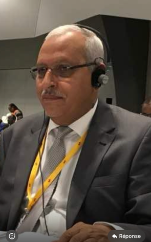 De grâce, ne touchez pas à notre Constitution!​​​​​​​ Par Abderrahmane Marrakch, ancien député de Nouakchott