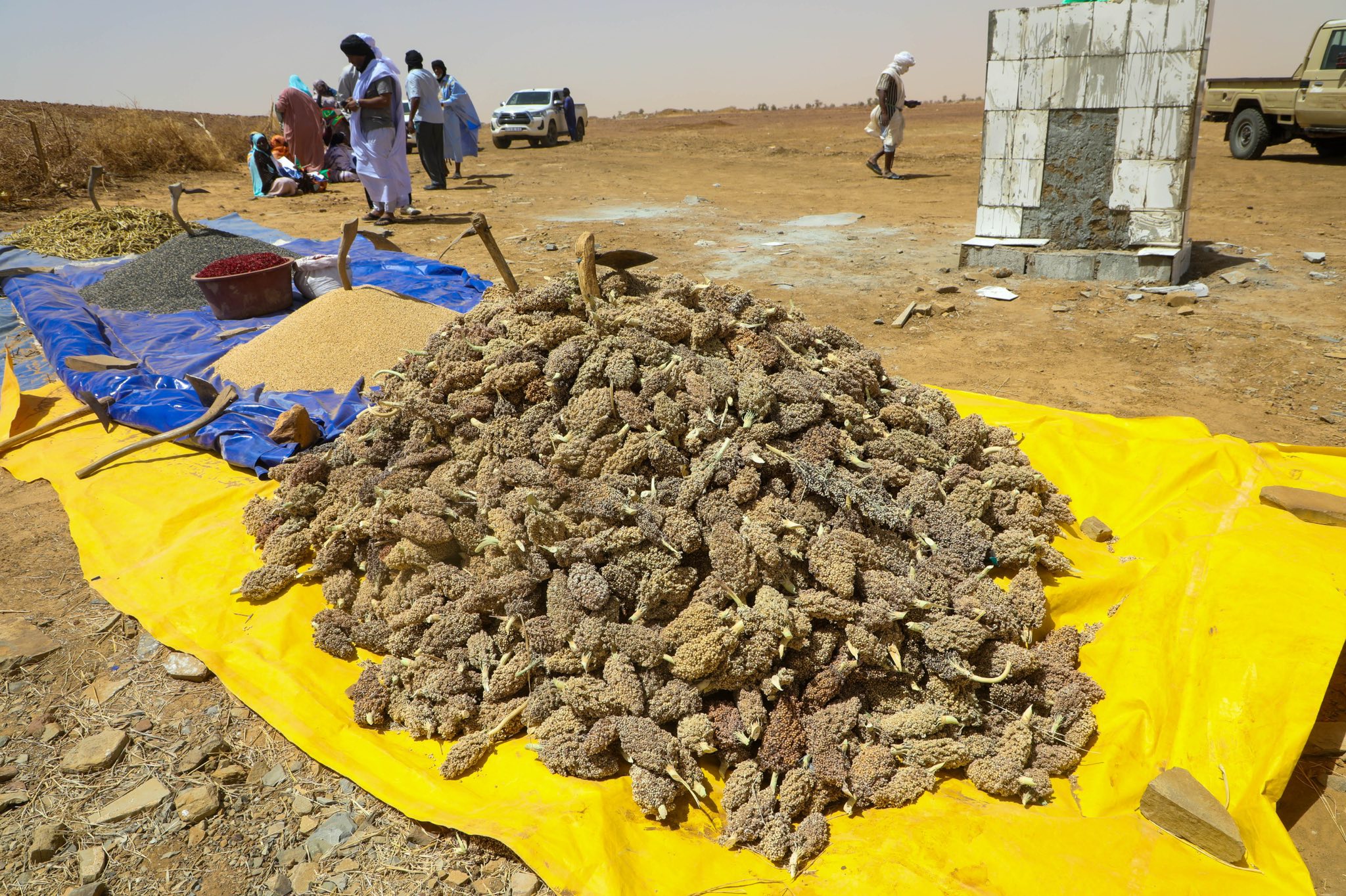 Le Délégué général de TAAZOUR, SIDI Moulaye Zeine, inaugure deux barrages dans la commune d’El Baten, dans la moughataa de Oualata