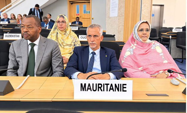 Le Commissaire aux droits de l’homme participe à une réunion de haut niveau à l’occasion du 60e anniversaire de l’adoption des deux Pactes internationaux relatifs aux droits de l’homme