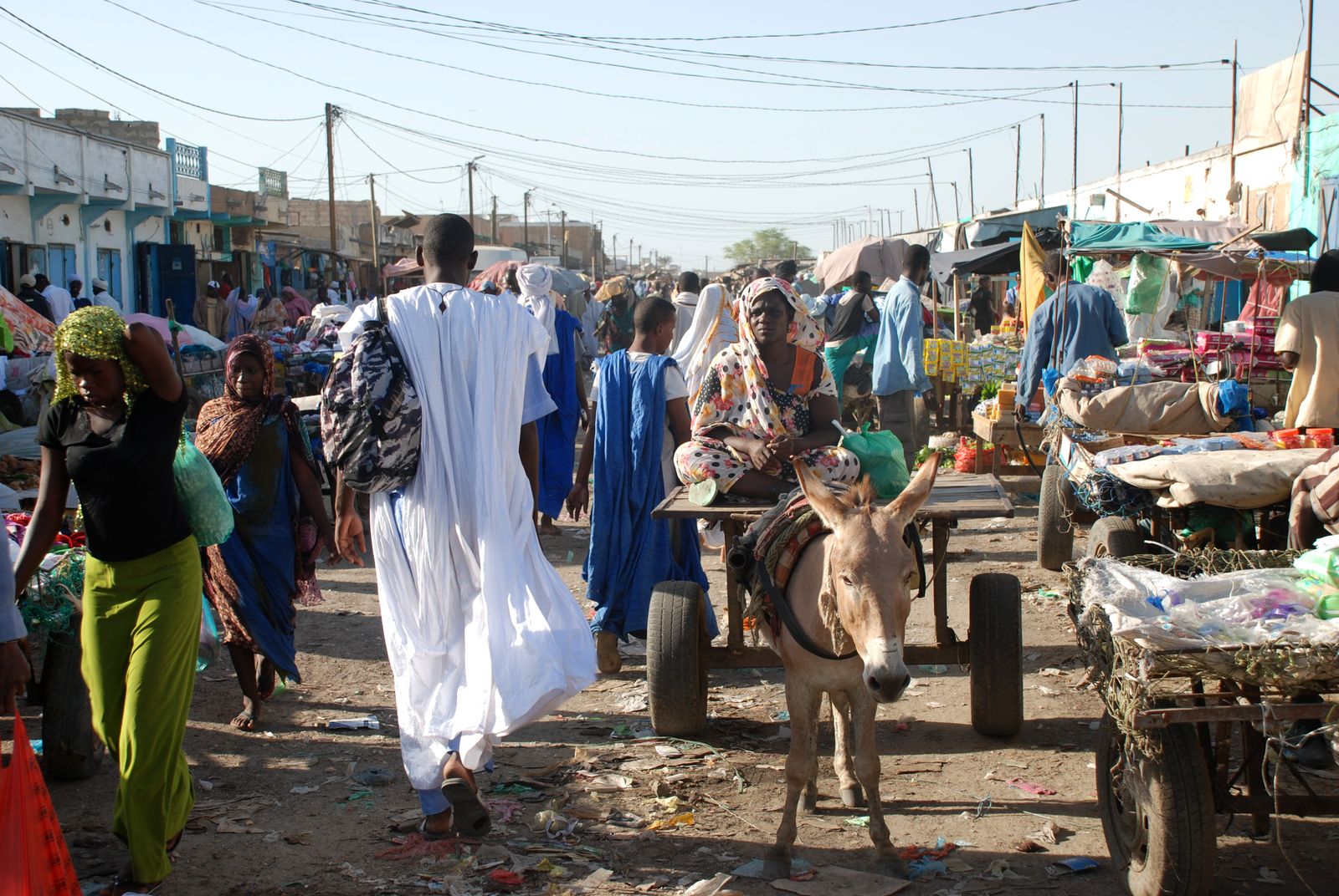 Haram : les Emirats Arabes Unis offrent à la Mauritanie 50 voitures d'une valeur de 3,6 milliards d'ouguiyas !