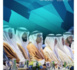 Ouverture de l’exposition et conférence internationale sur le pétrole d’Abu Dhabi « ADIPEC 2023 »