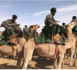 Le porte-parole du gouvernement : la Mauritanie a pris toutes les mesures militaires et sécuritaires pour protéger ses frontières