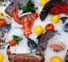 Ouverture de la première édition du Salon mauritanien des produits de la mer à Nouadhibou
