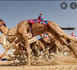 Clôture de la course de chameaux organisée à l’occasion du 65e anniversaire de la Fête de l’Indépendance Nationale
