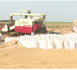 Riz : la Mauritanie prépare une stratégie décennale pour doper sa production locale