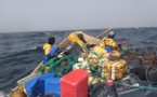 Mauritanie-Sénégal : des patrouilles communes pour empêcher la pêche illégal