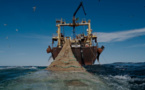 Pêche industrielle et artisanale : La Mauritanie durcit sa législation