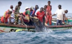 Le poisson devient cher en Mauritanie après la suspension des pêcheurs sénégalais