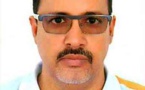 Dr Cheikh Ould Hanana, sénateur, président du comité suivi au sénat: Dr Cheikh Ould Hanana, sénateur, président du comité suivi au sénat: