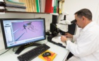 Atelier de formation en entomologie médicale à l’Université de Nouakchott Al-Asriya