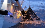 Greenpeace : la flotte chinoise menace d’extinction la richesse halieutique de la Mauritanie