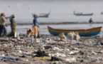 Le ministère des pêches organise une campagne d’assainissement du littoral de Nouakchott