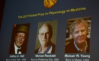 Nobel de médecine: trois spécialistes américains de l'horloge biologique primés