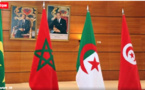 Rabat. Des experts de l'ONU prédisent la mort prochaine de l'UMA